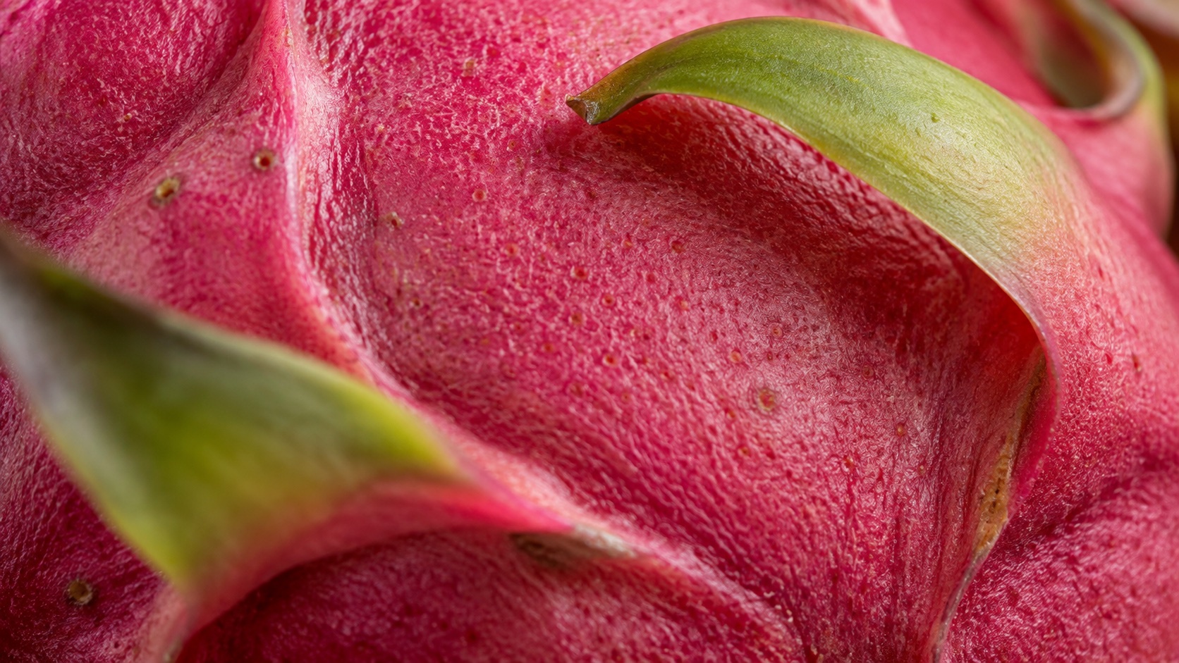 Van dichtbij / De natuurlijke schil van de vrucht